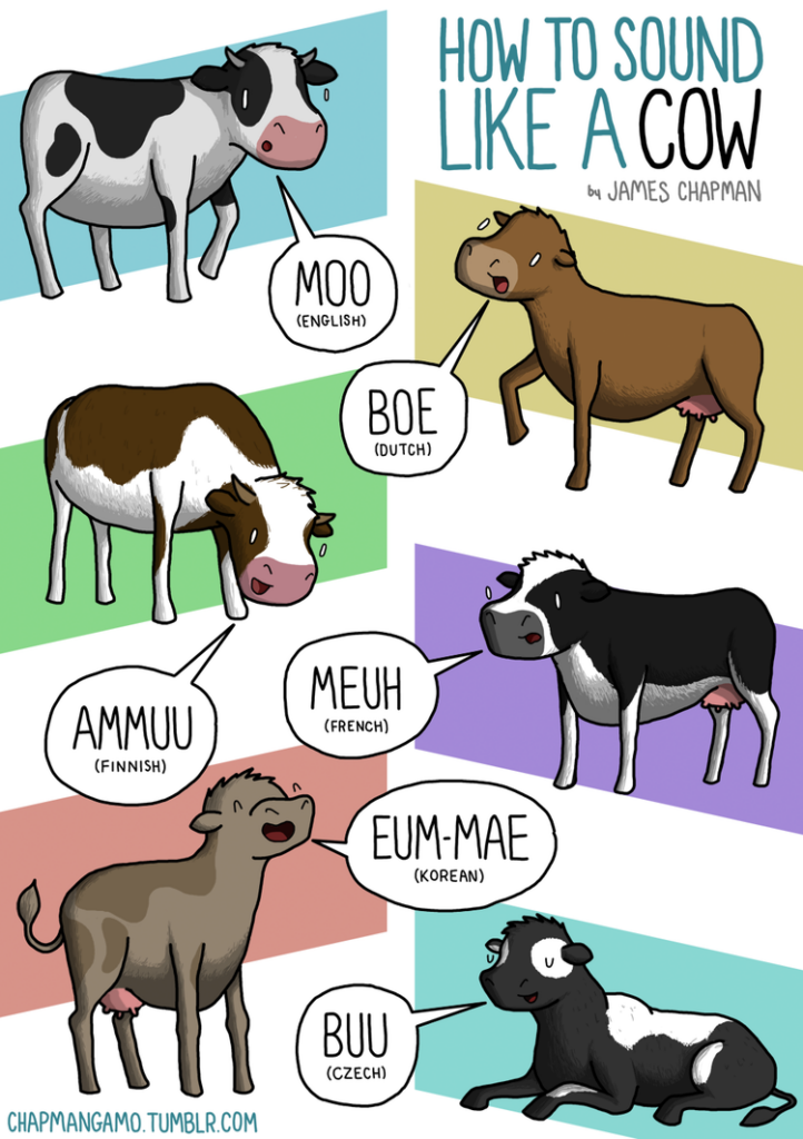 How cows moo in other languages