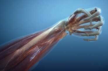 Croatian voice artist - Yana