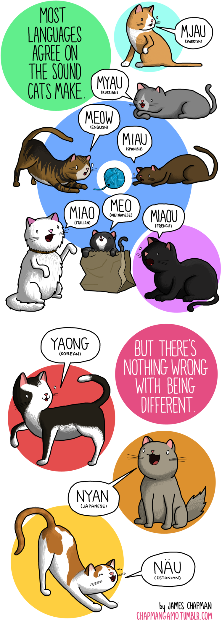 Cat noises around the world