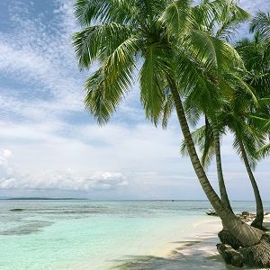 Caribbean beach, representing English in Caribbean accent history