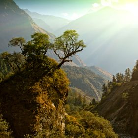 English to Nepalese subtitling service