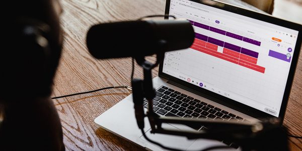 Voice artist recording a script